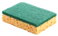 Green sponge